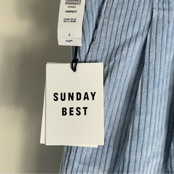 Aritzia Sunday Best Harvey Pant in Dune Blue size 4 corduroy slouchy pleated NWT - Picture 8 of 14